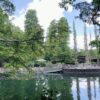 吉祥寺の井の頭公園