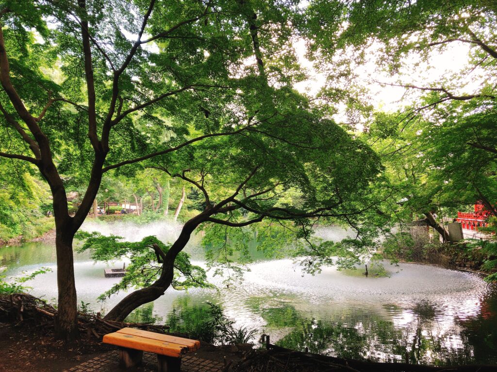 井の頭公園の画像