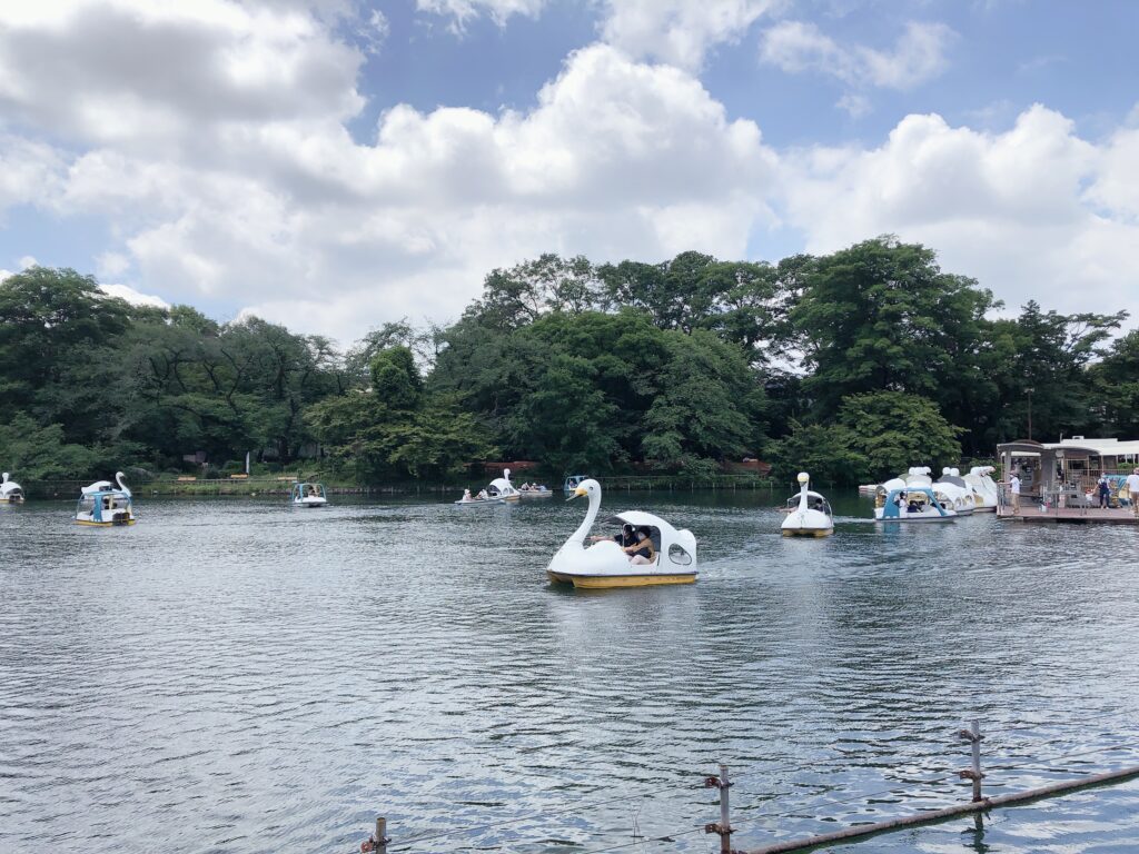 井の頭公園の写真