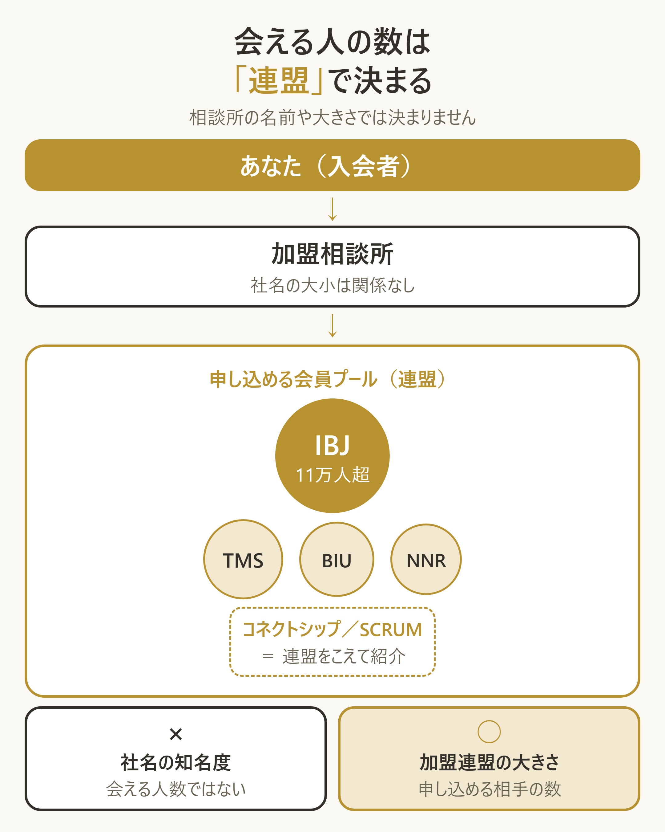 「相談所名」ではなく「所属連盟」で実際に会える会員プールが決まる構造